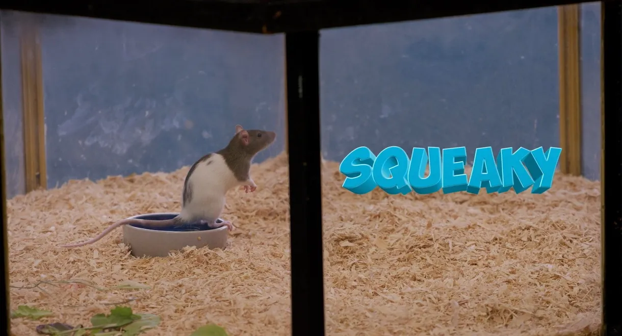 Squeaky the Rat
