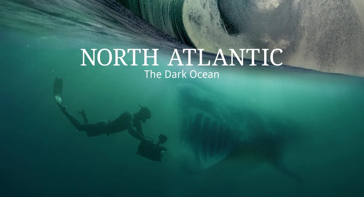 North Atlantic: The Dark Ocean