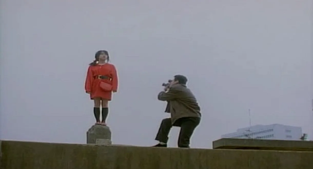 Survey Map of a Paradise Lost