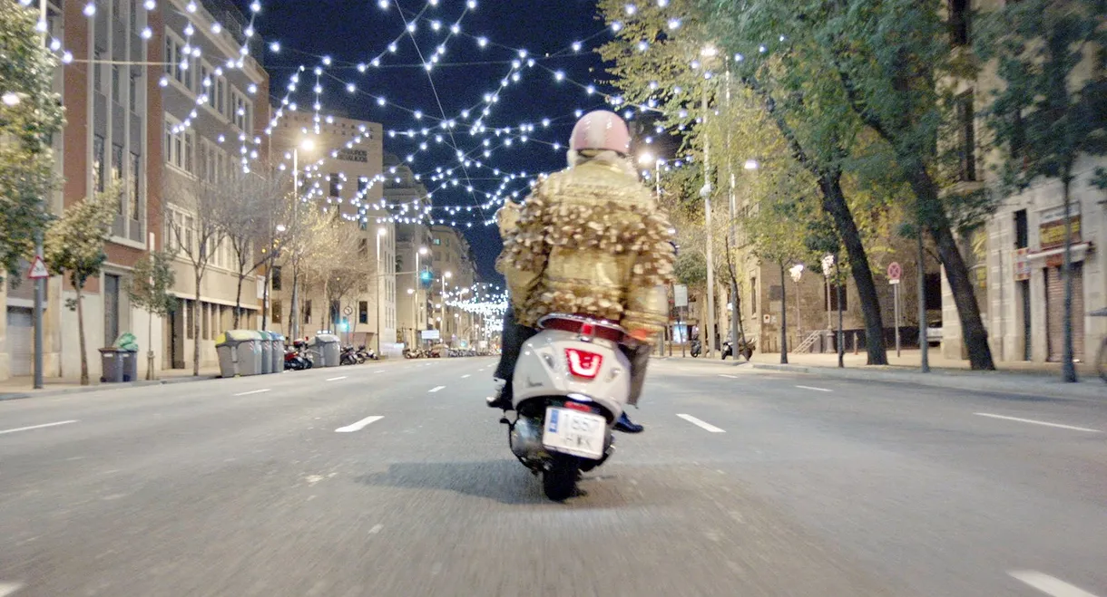 Barcelona Christmas Night