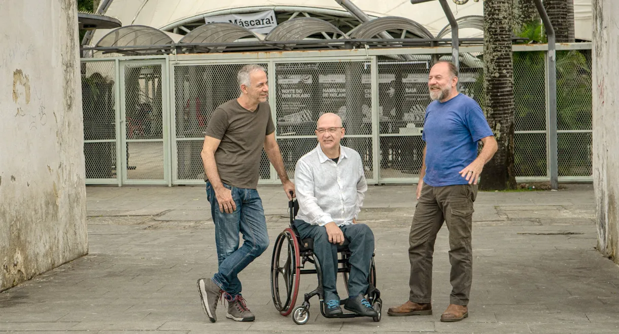 My Music, My Roots: Os Paralamas do Sucesso