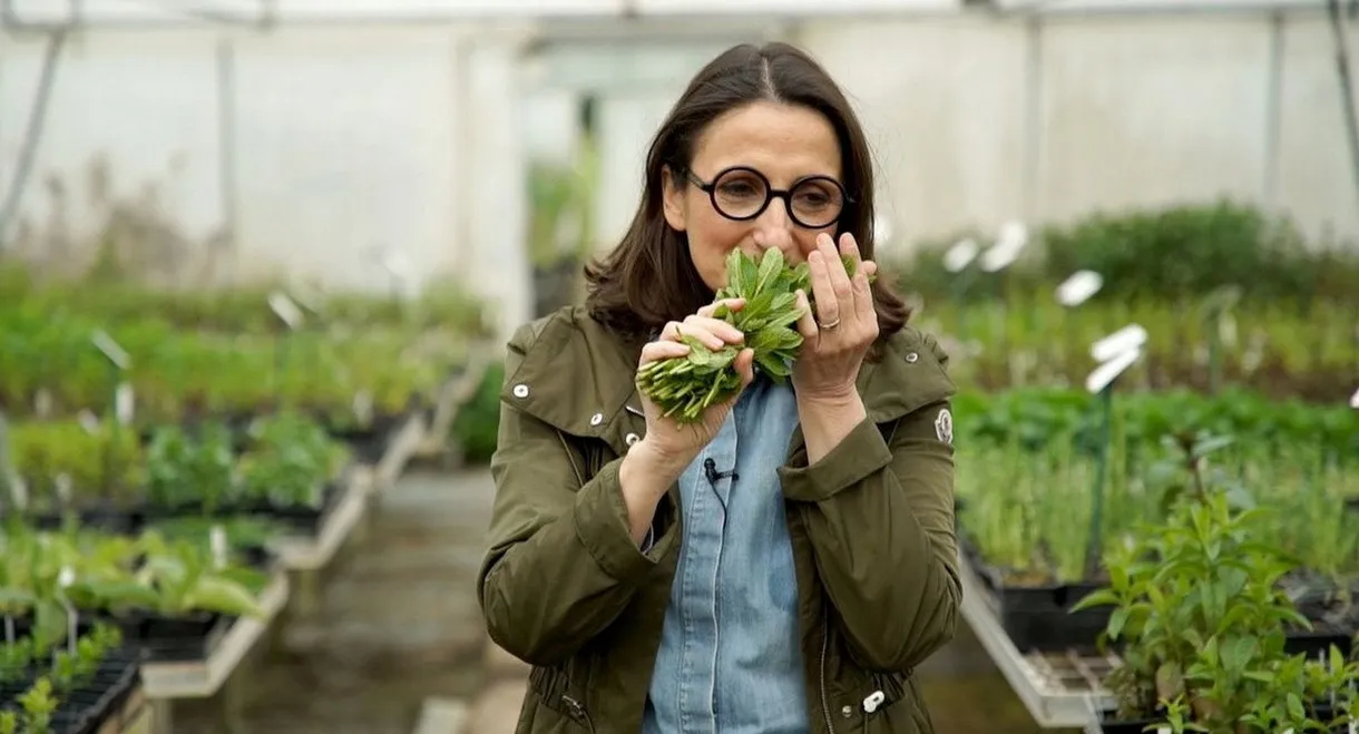 La vérité si je menthe
