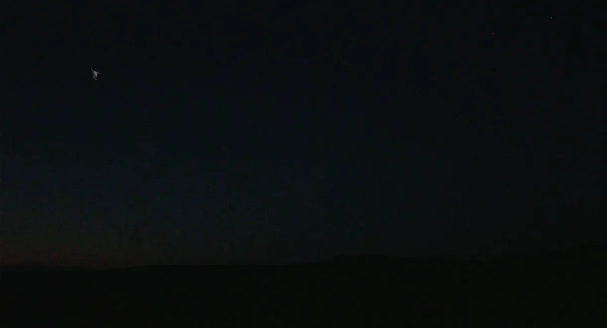 The Skull and the Arm