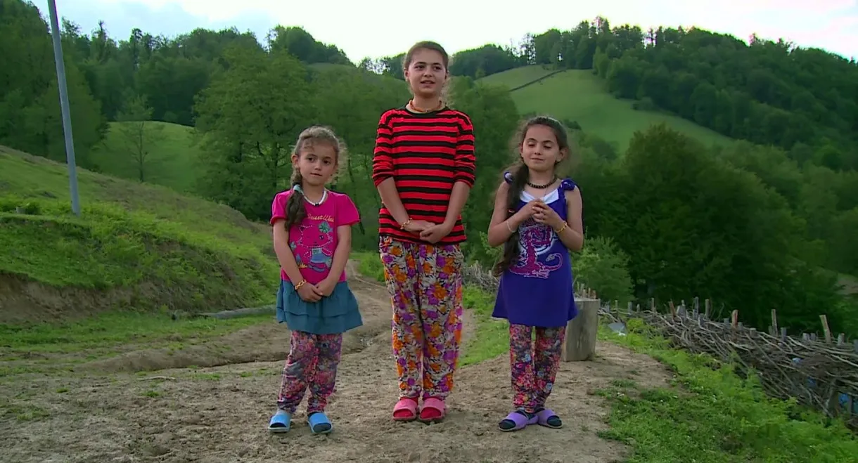 The Fog Will Carry Us