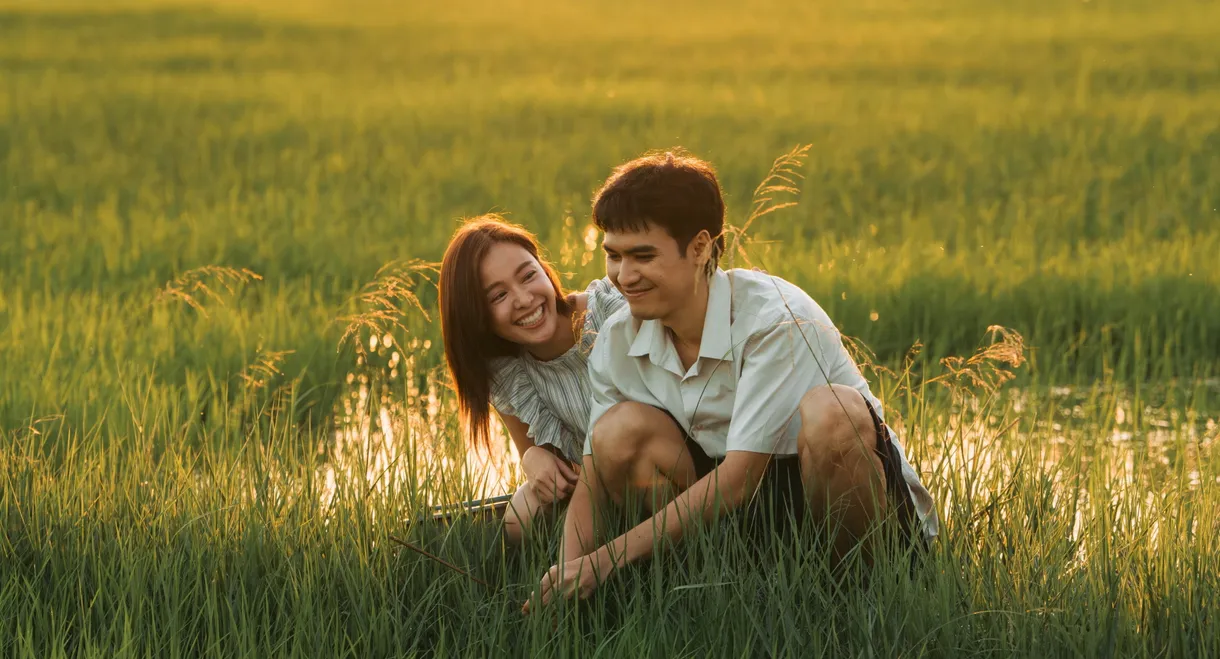 The Undertaker 2: Afterlife