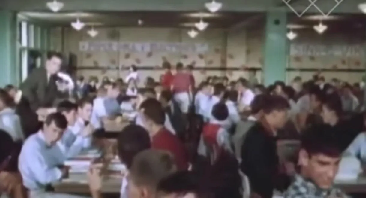 16 in Webster Groves