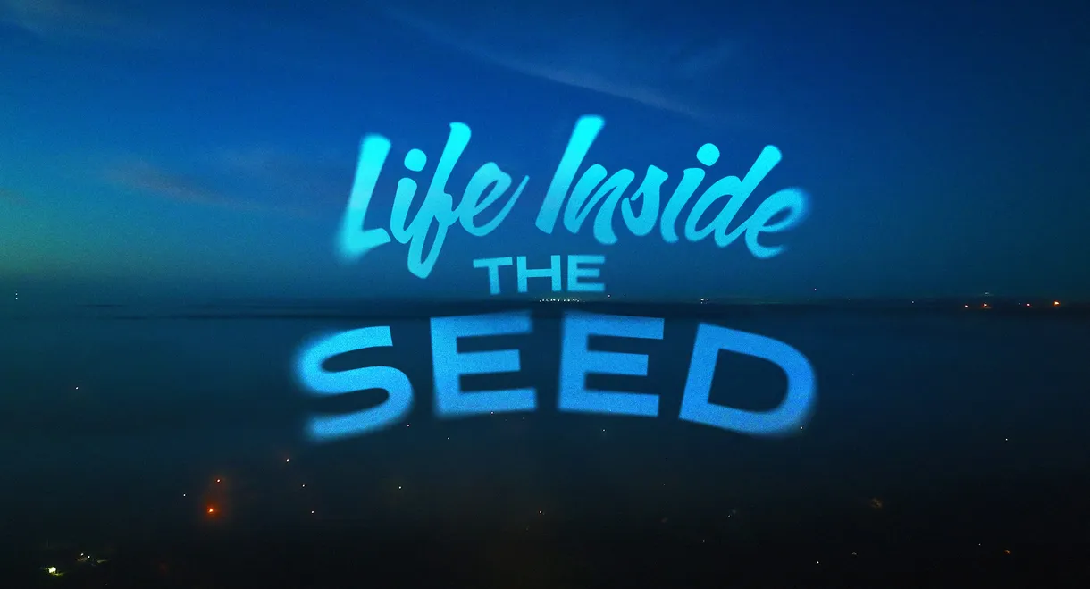 Life Inside the Seed
