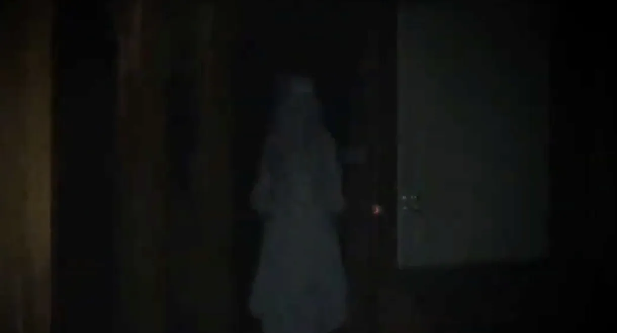 The Untitled Meriharju Project