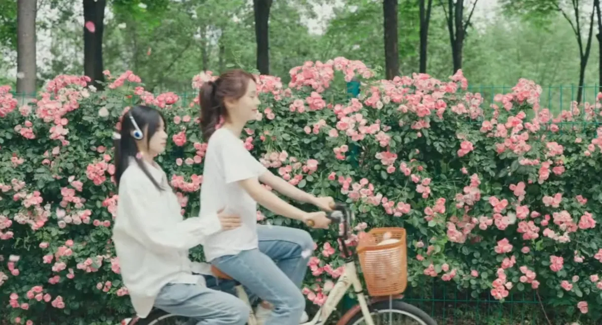 You Who Are Lost With the Wind