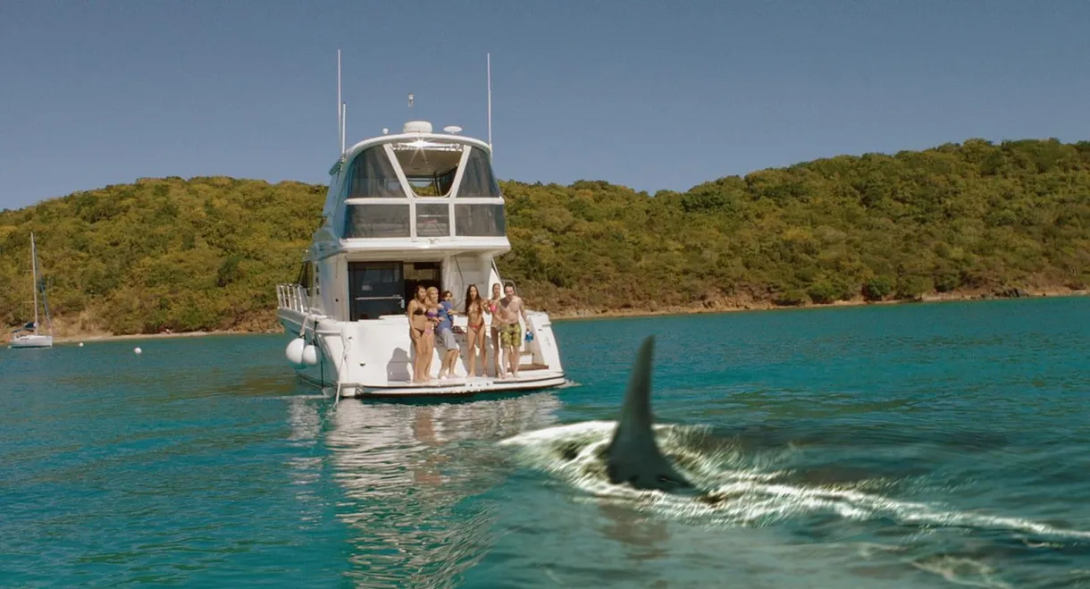 Mississippi River Sharks