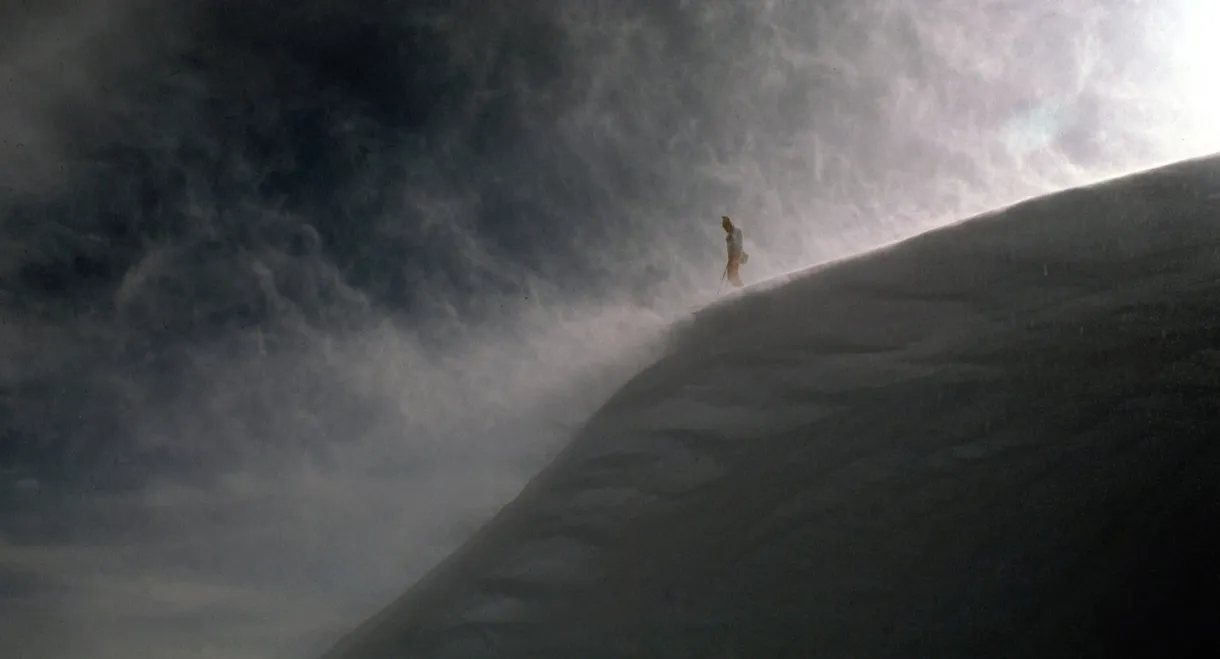 Buried: The 1982 Alpine Meadows Avalanche