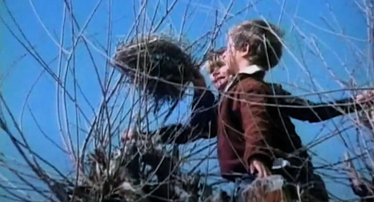 Little Angel, Make Me Happy