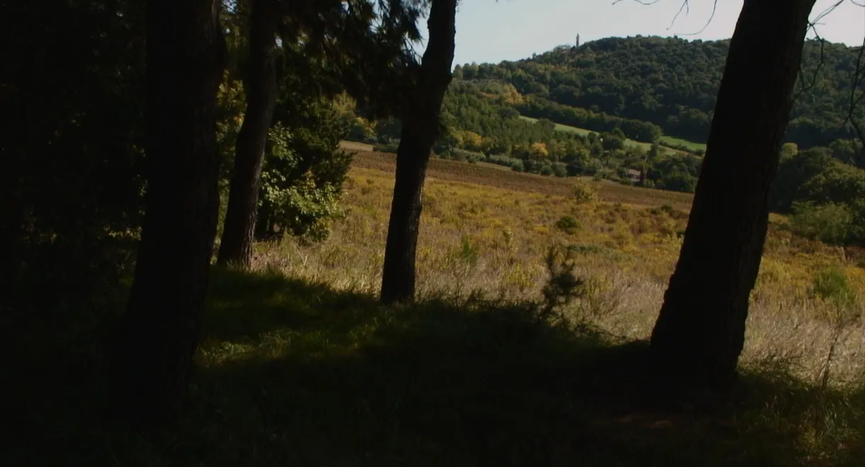 Dove Non Siamo Stati