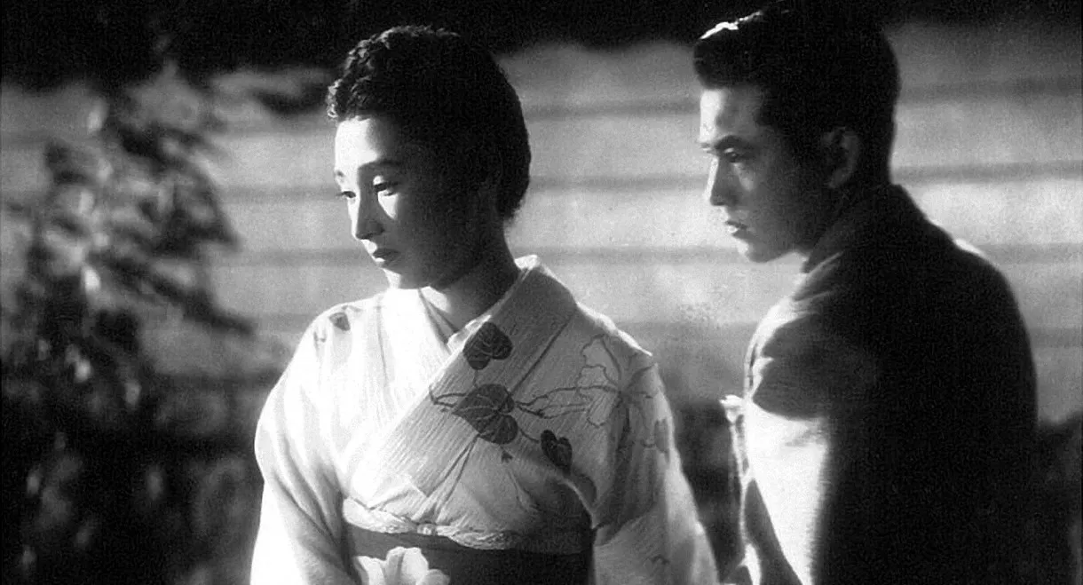 The Beauty of the Evening Sky