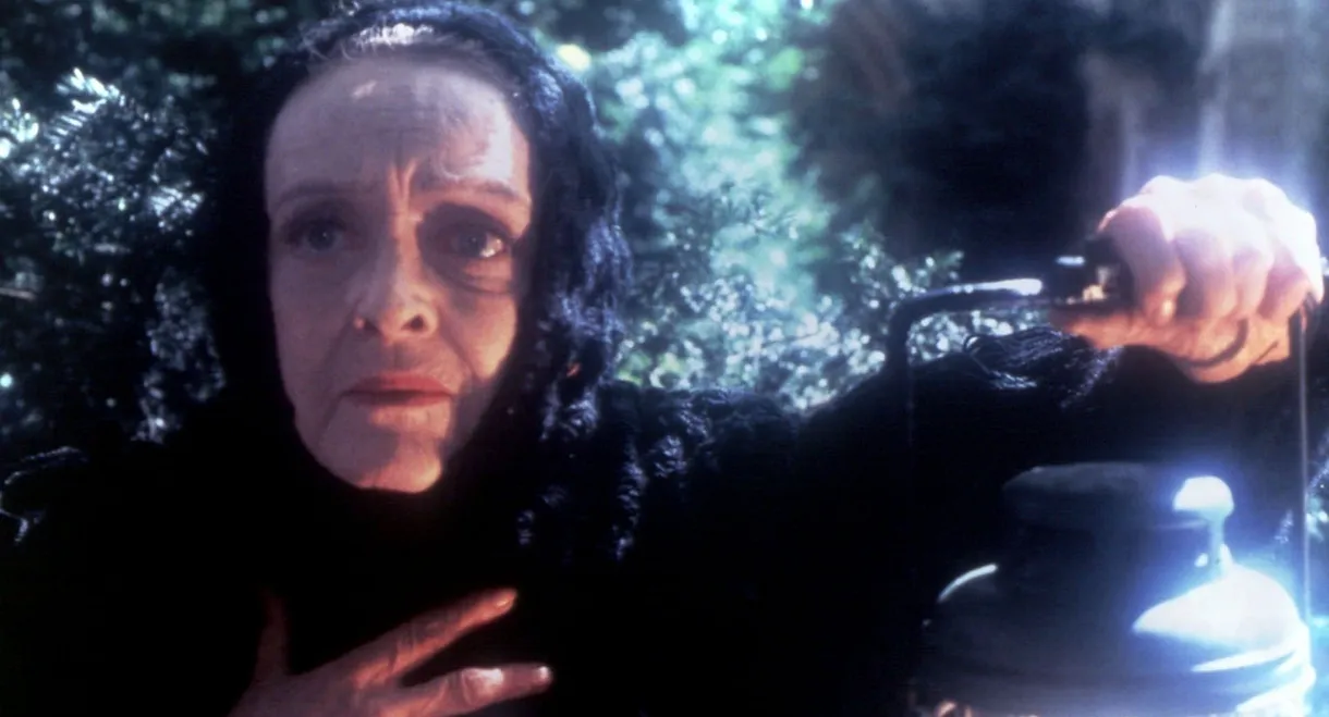 The Watcher in the Woods