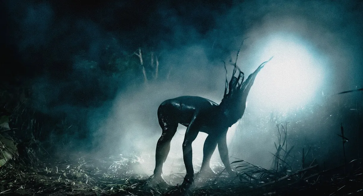 Private View: Joshua Serafin