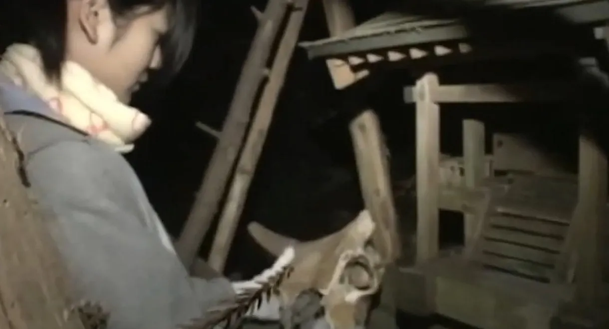 Really! Cursed Video: The Movie 2