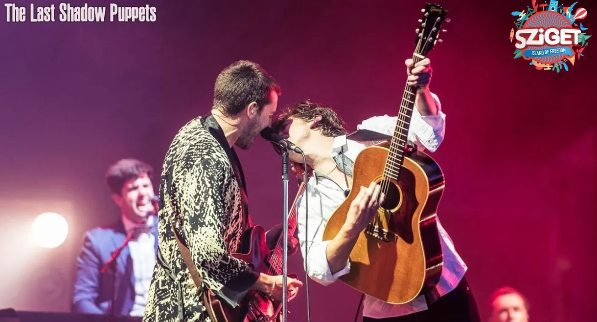 The Last Shadow Puppets at Sziget Festival
