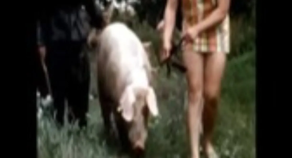 The Dark Side of Porn: The Real Animal Farm