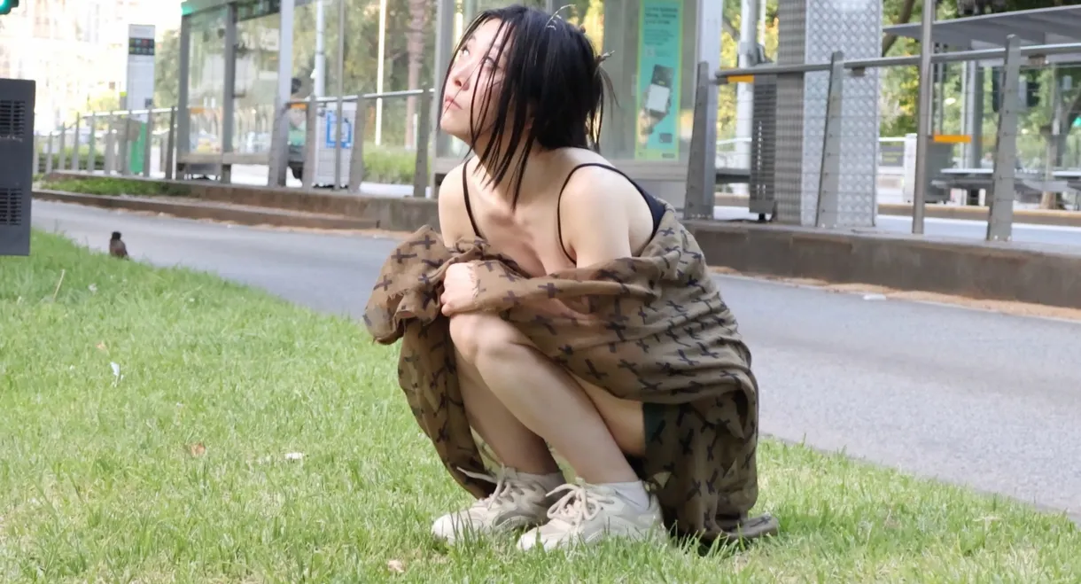 Aviary of Her Solitude