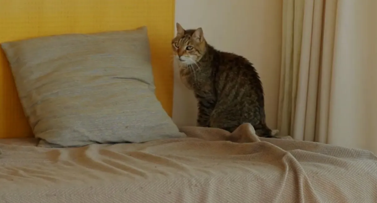 Où en êtes-vous, Jean-Marie Straub ?