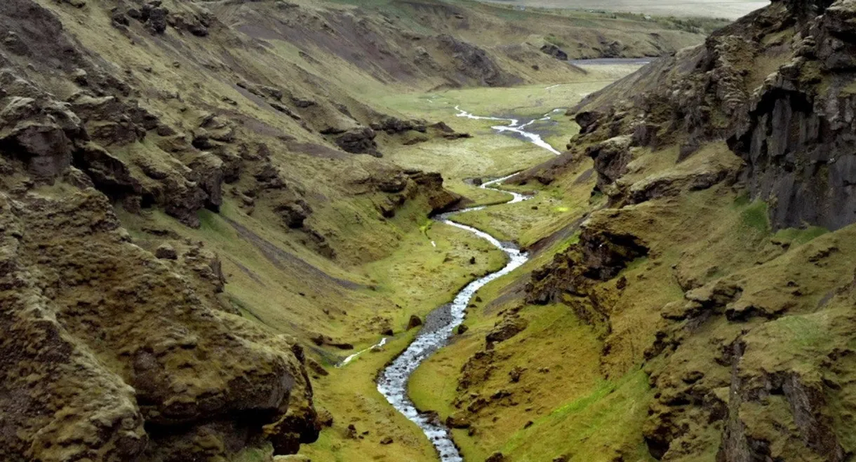 Terre, Les Forces du Vivant