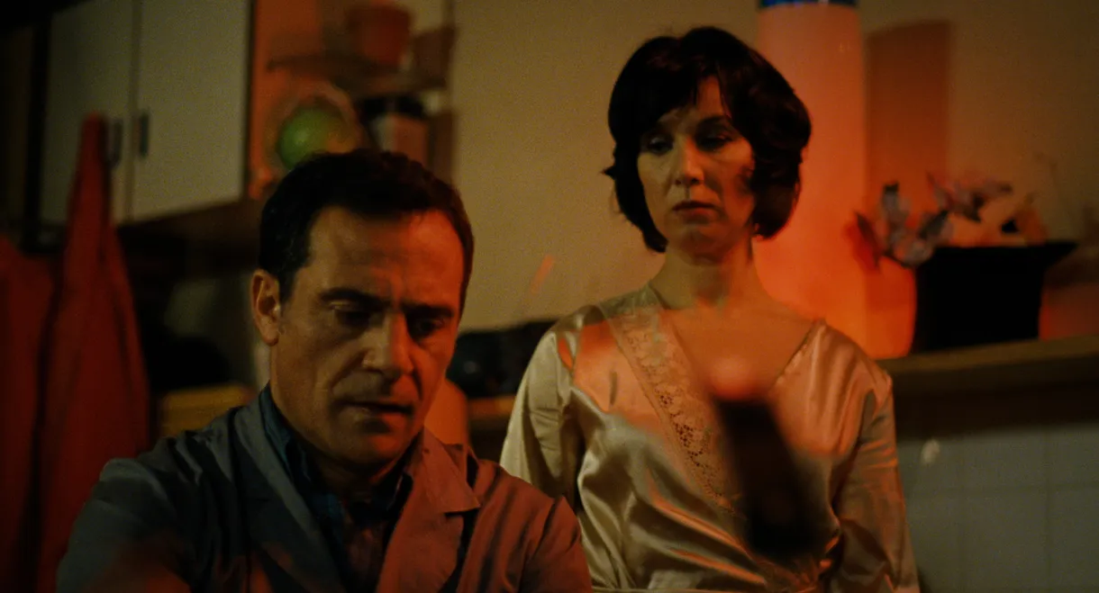 Forget Everything I Told You