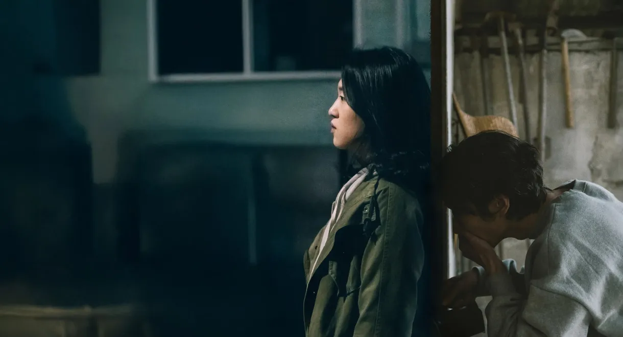 The Way Fish Breathe