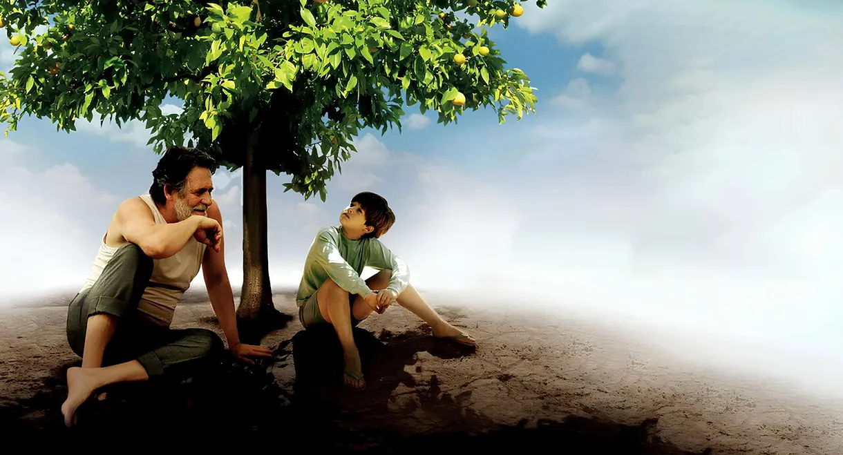 My Sweet Orange Tree