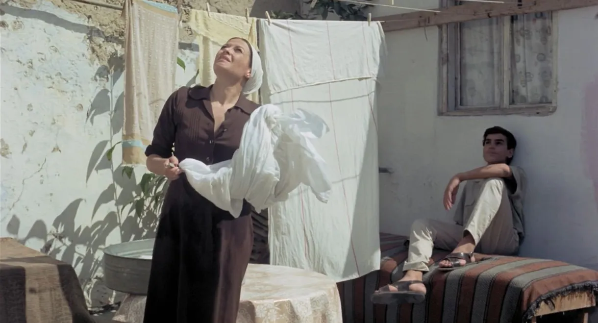 The House on Chelouche Street