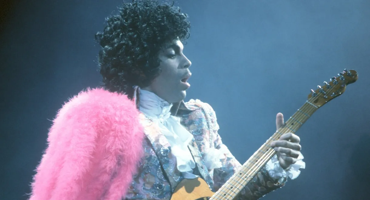 Prince and the Revolution: Live