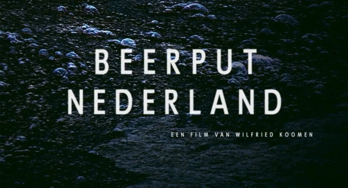 Beerput Nederland