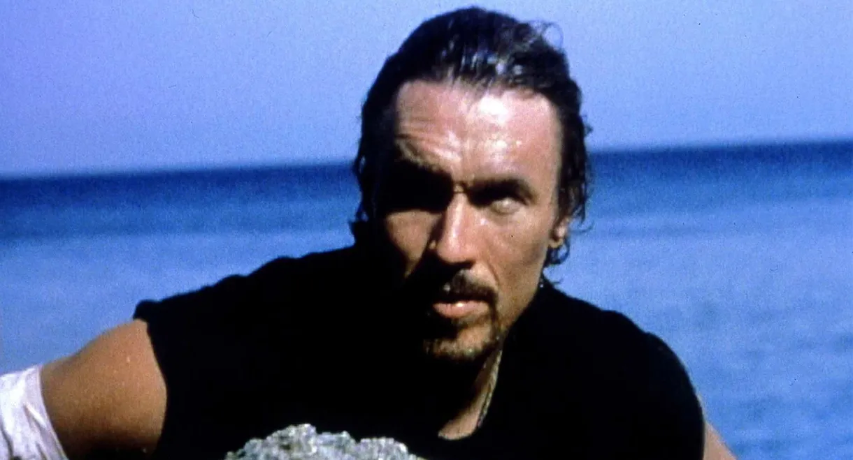 Sea Wolf: The Pirate's Curse