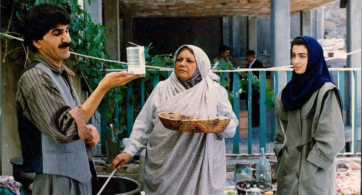 The Shadow of Imagination