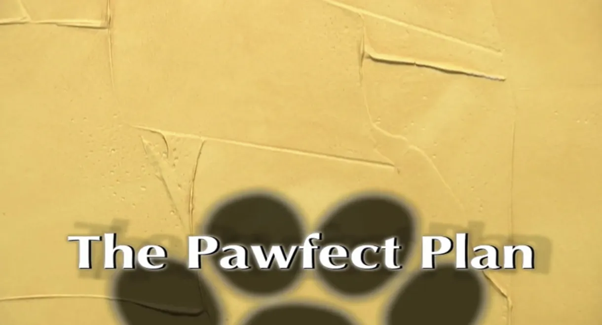 The Pawfect Plan