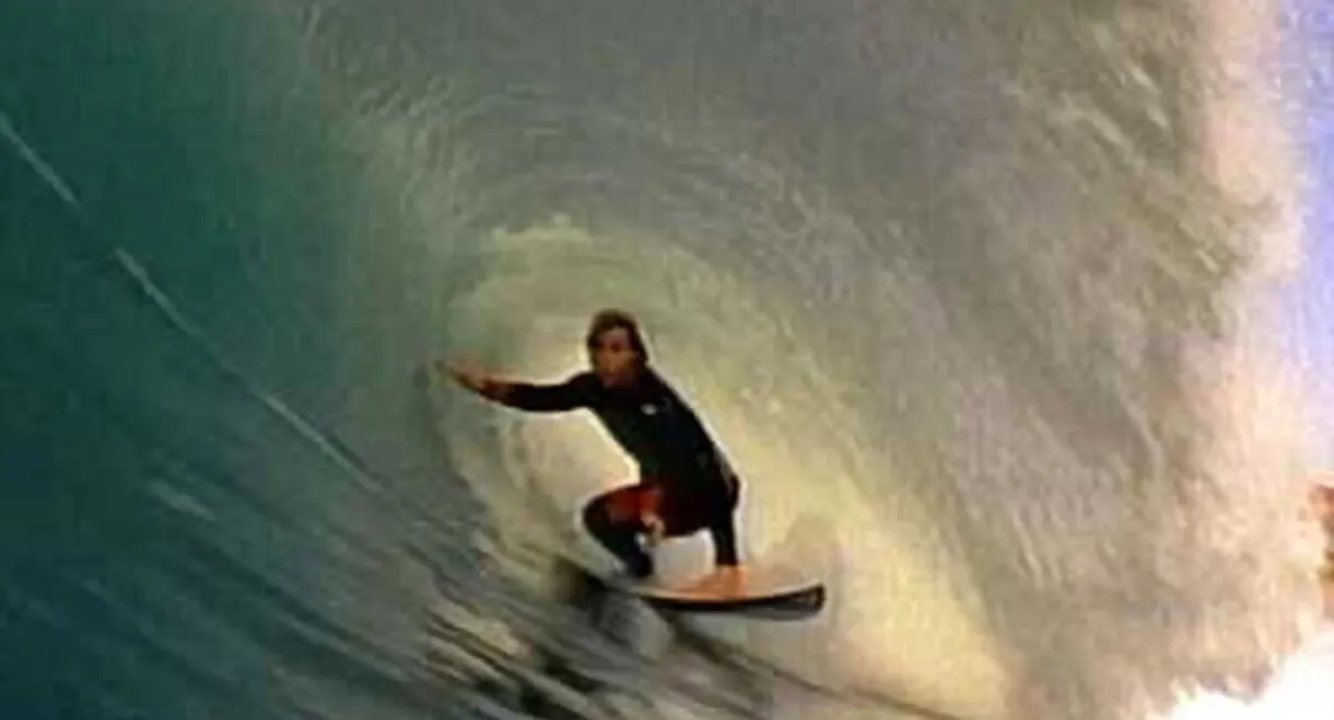 Archy: Built for Speed, Born to Ride