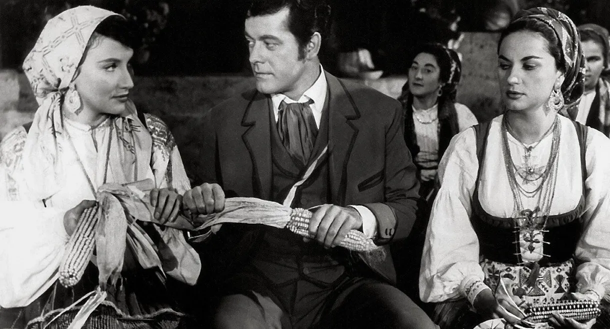 As Pupilas do Senhor Reitor