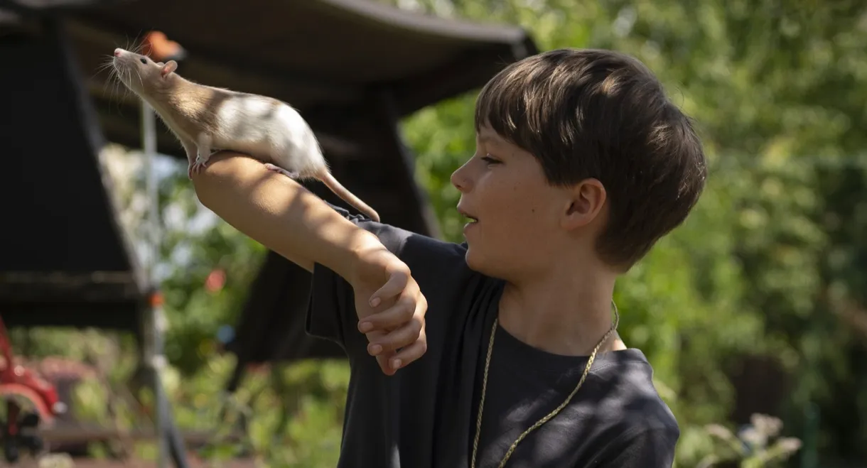 Club der bunten Ratten