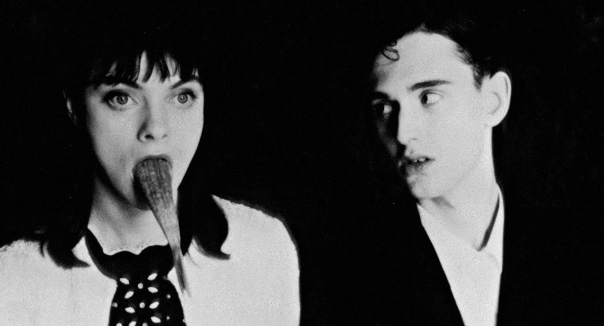 The Universe of Dermot Finn