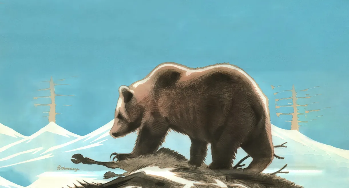 In the Kingdom of the Lapland Bear