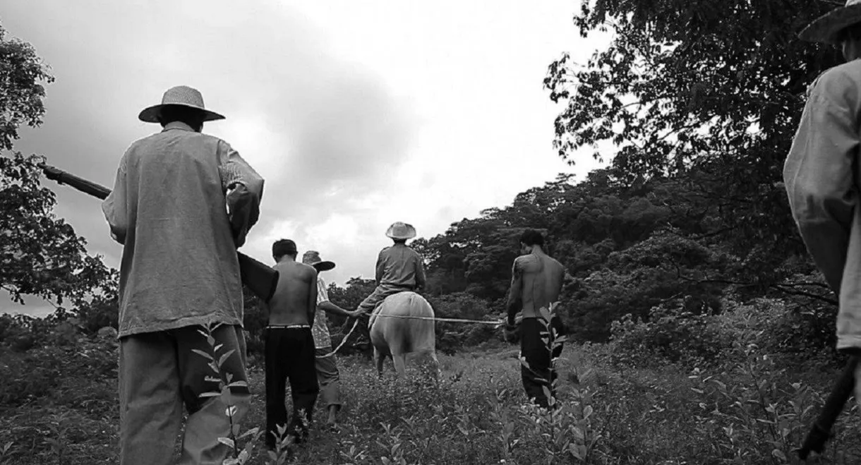 Prologue to the Great Desaparecido