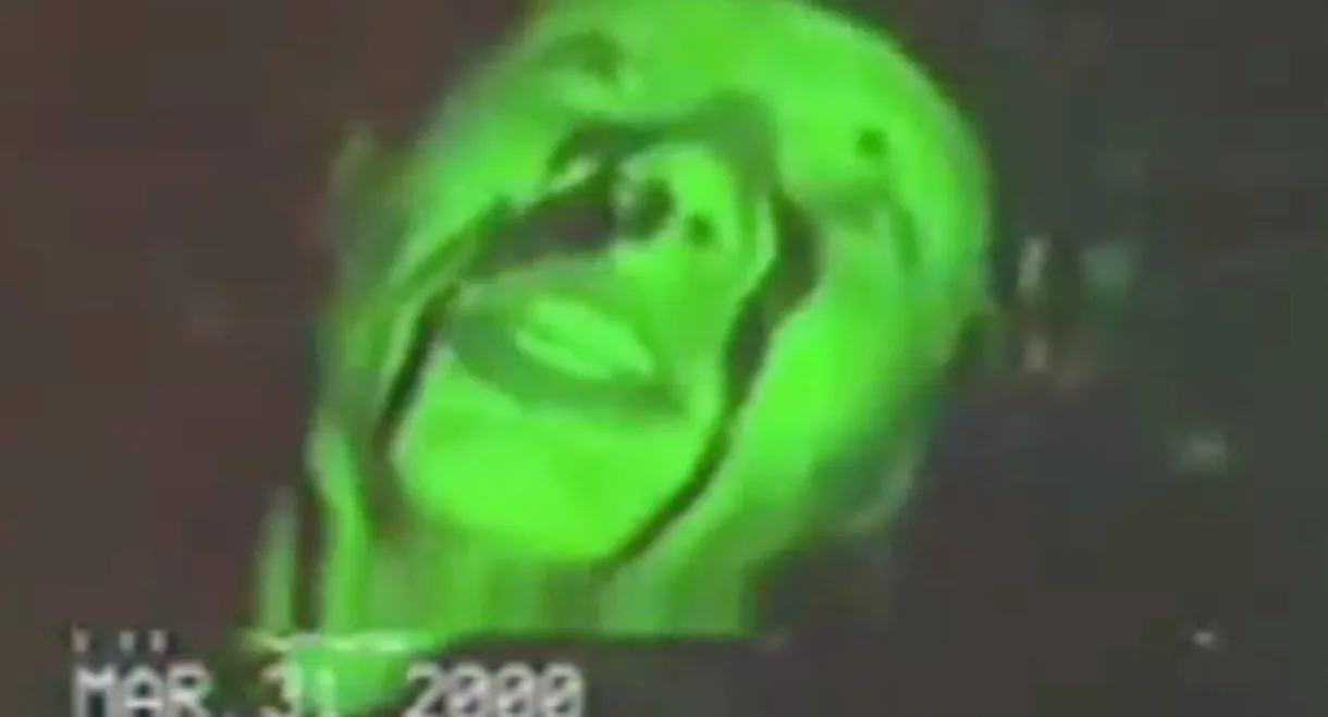 Paranoia Tapes 7: Felts Field