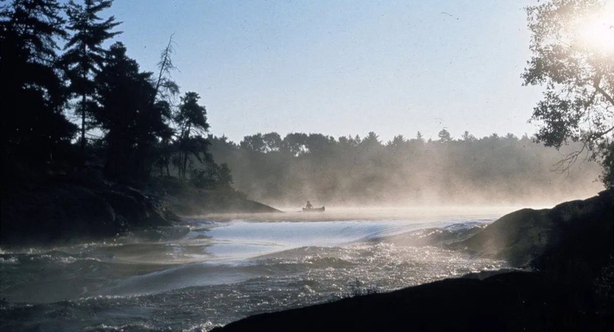 Path of the Paddle: Solo Basic