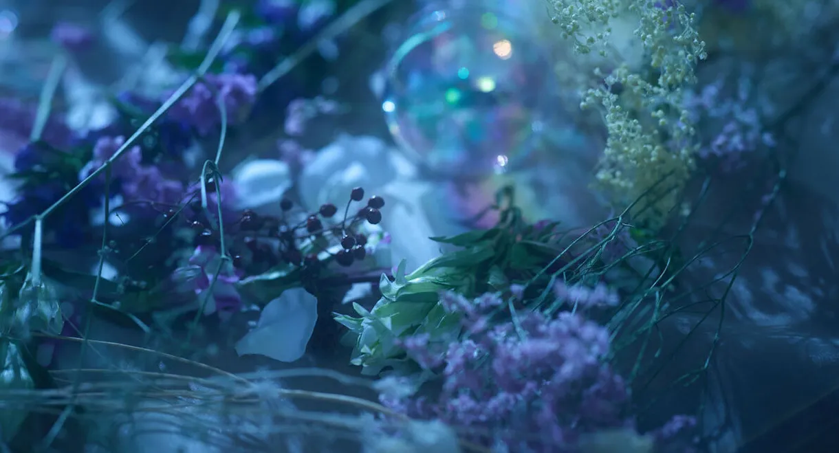 Touken Ranbu: The Musical - Higekiri Solo Performance ～Fleeting Dreams～