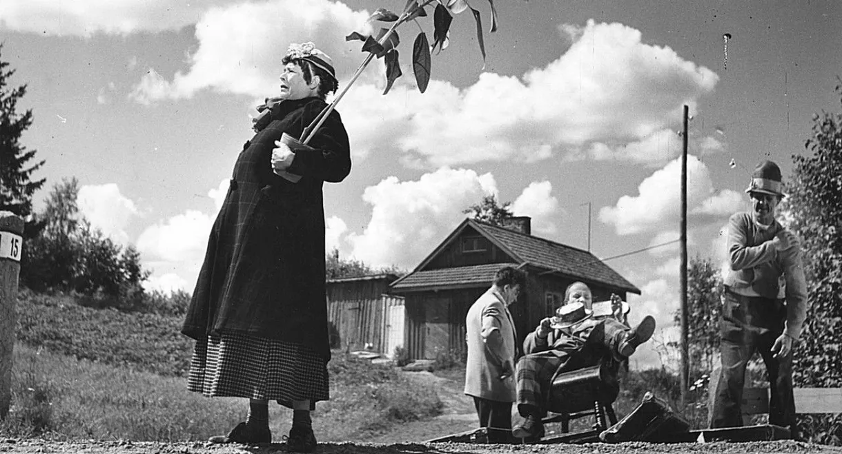 Pekka Puupää kesälaitumilla