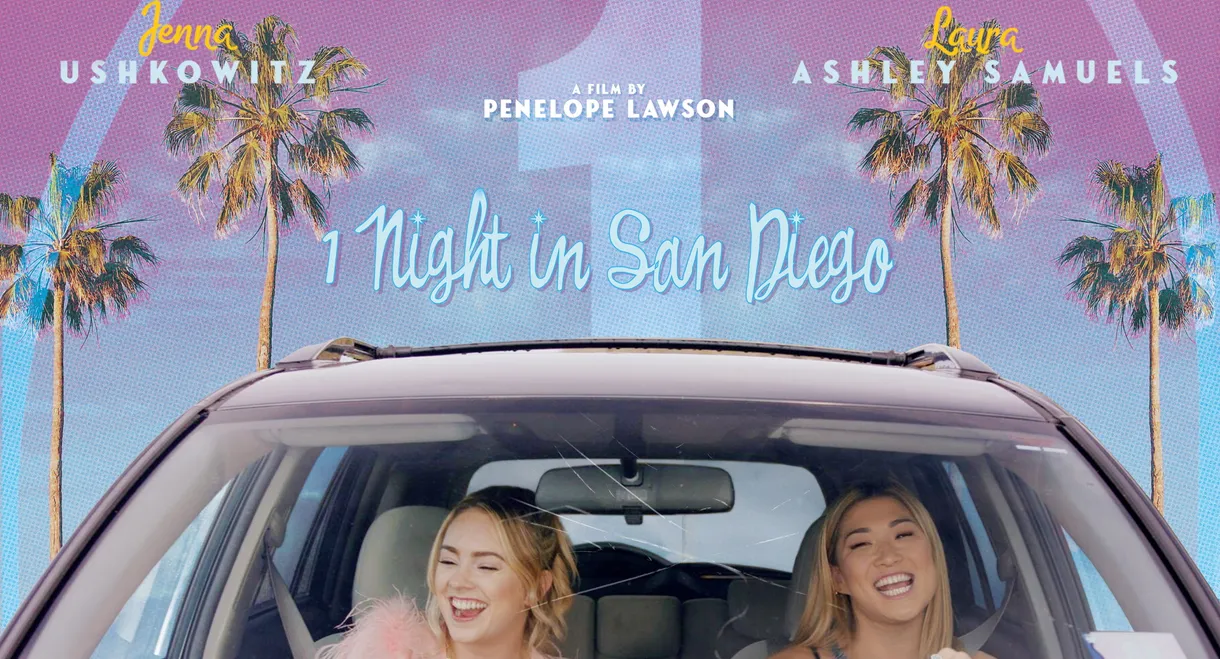 1 Night in San Diego