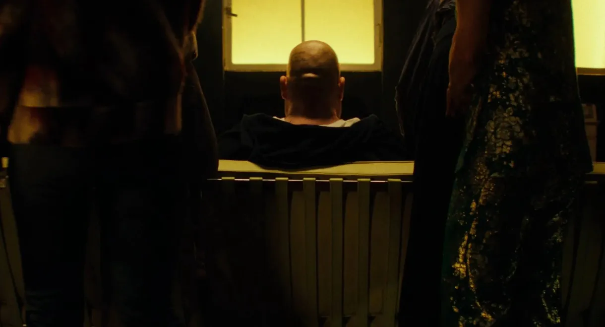 Elephant in the Room