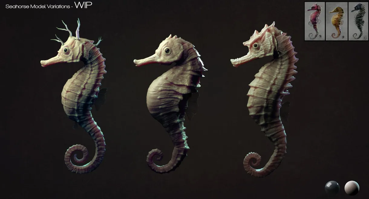 The Seahorse Trainer