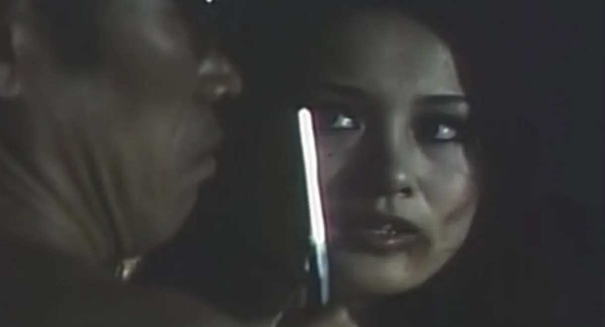 Sanctuary in the Night