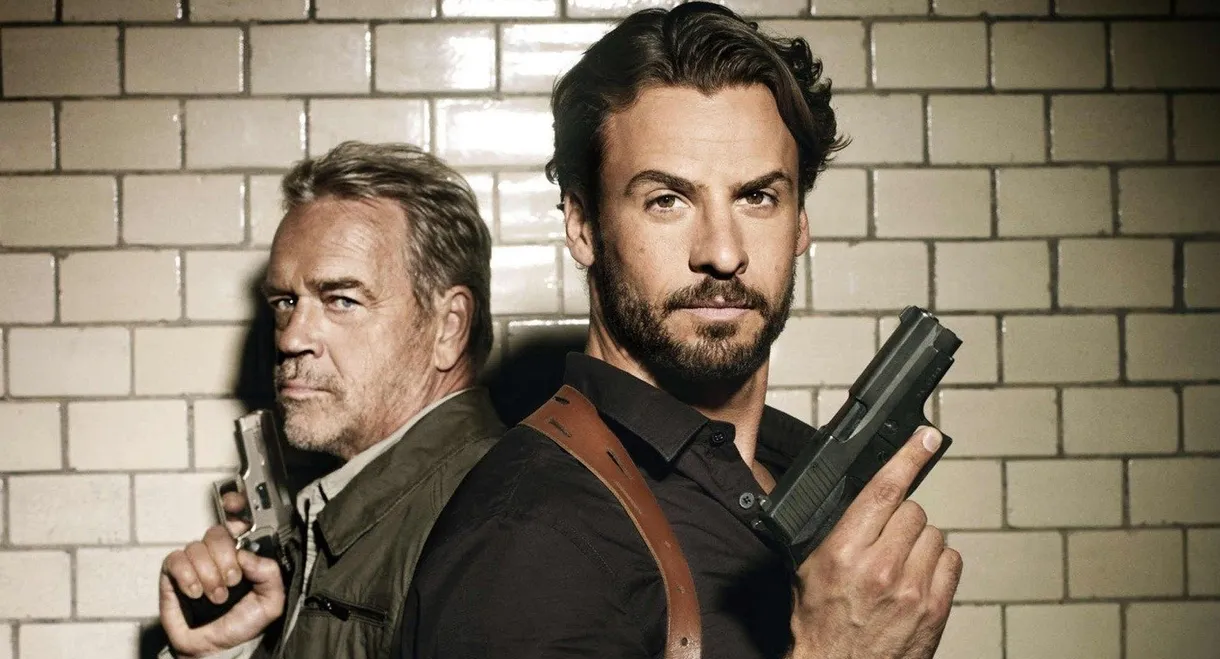 Wolff - Kampf im Revier